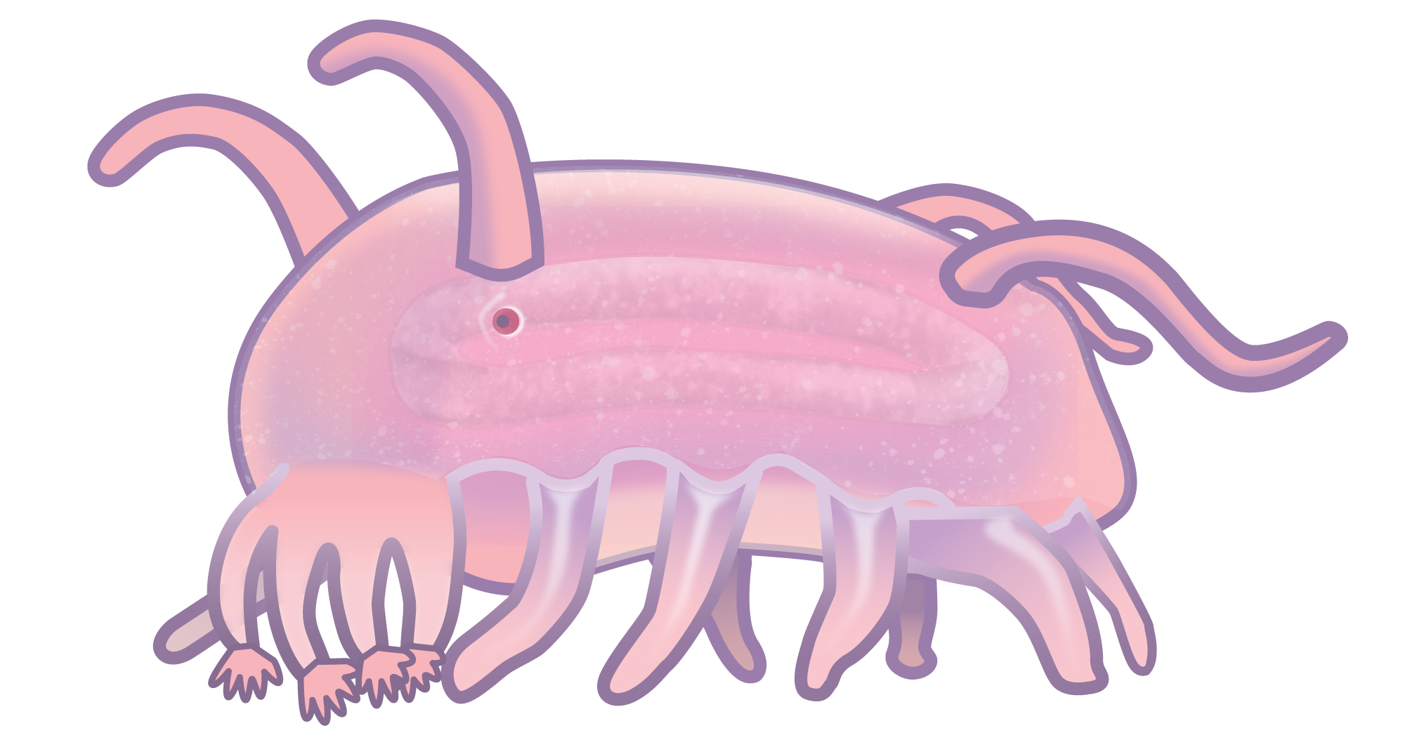 seapig